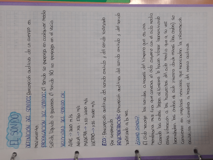 Miniatura del documento IMG20221126233942.jpg