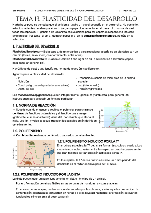 Miniatura del documento Tema-13-Plasticidad-del-desarrollo.pdf