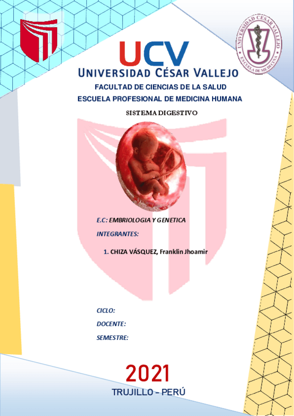 Miniatura del documento SISTEMA-DIGESTIVO-EMBRIOLOGIA.pdf