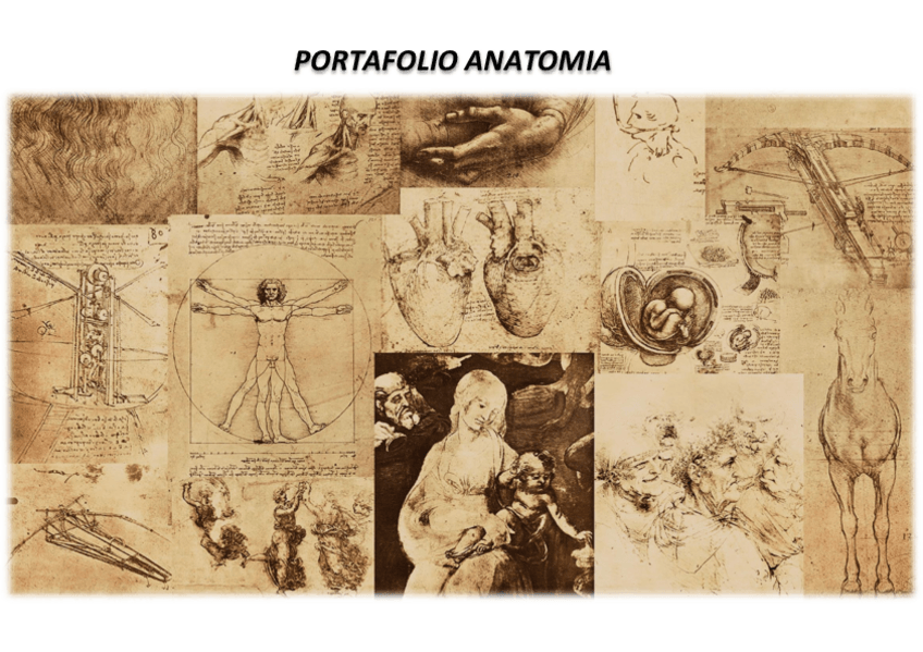 Miniatura del documento PORTAFOLIO-ANATOMIA-1.pdf