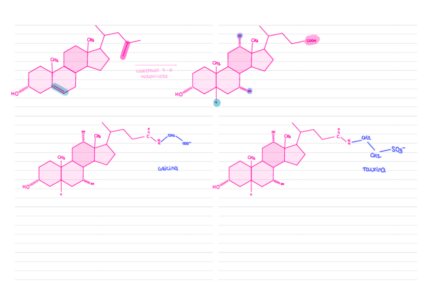 Miniatura del documento Colesterol.pdf