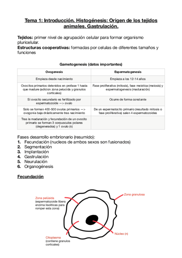 Miniatura del documento Histogénesis/Gastrulación.pdf