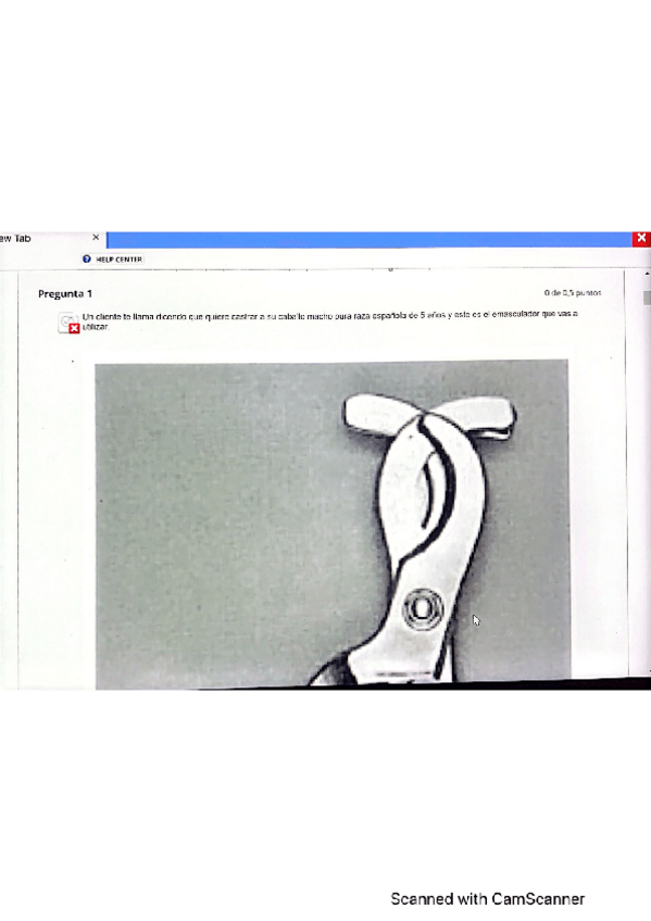 Miniatura del documento EXAMEN-TEORICO-CEII.pdf