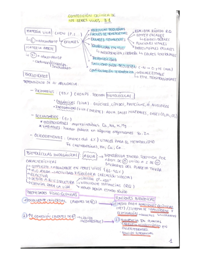 Miniatura del documento Biologia-bloque-1-biomoleculas.pdf