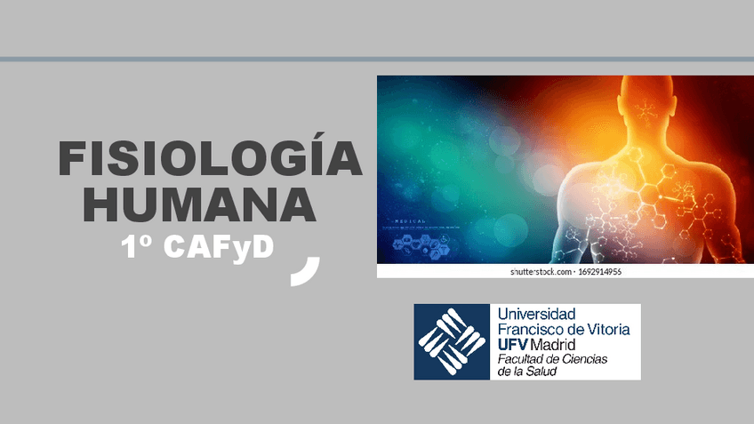 Miniatura del documento Apuntes-Tema-2Siscardio-vascular.pdf