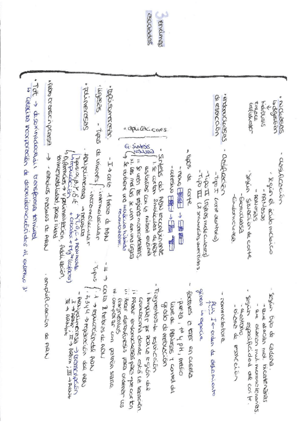 Miniatura del documento punto-3.pdf