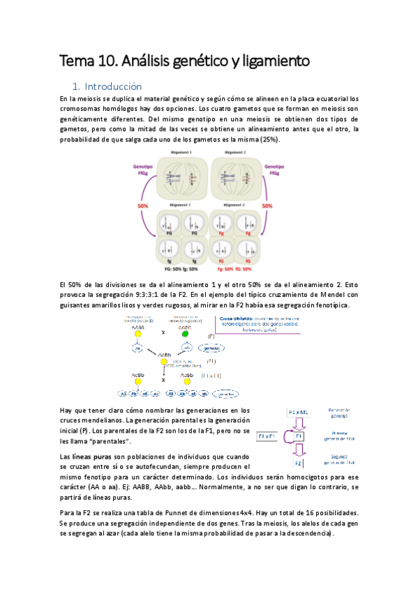 Miniatura del documento Tema-10.pdf