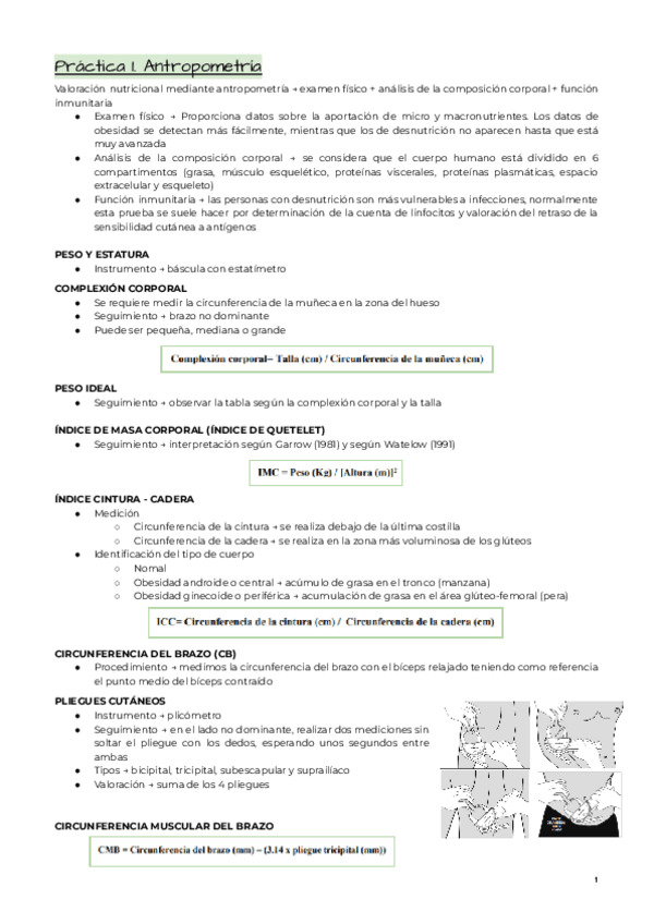 Miniatura del documento Practicas.pdf