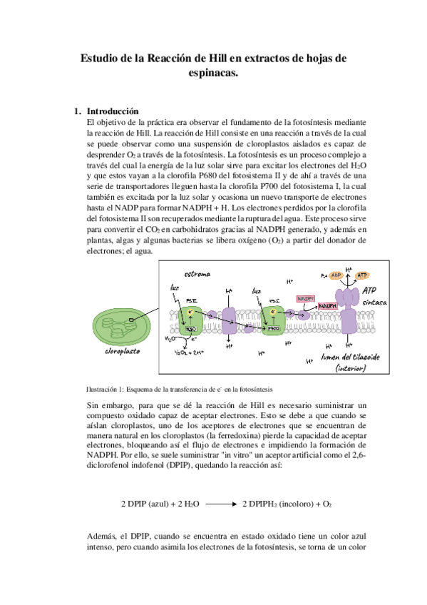 Miniatura del documento Estudio de la Reacción de Hill.pdf