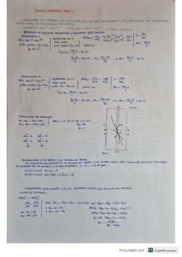 Miniatura del documento RELACION-DE-PROBLEMAS-MICRO-SUPERIOR.pdf