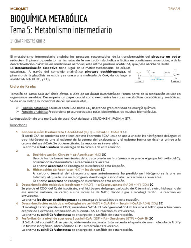 Miniatura del documento PAR2Tema-5-Metabolismo-intermediario.pdf