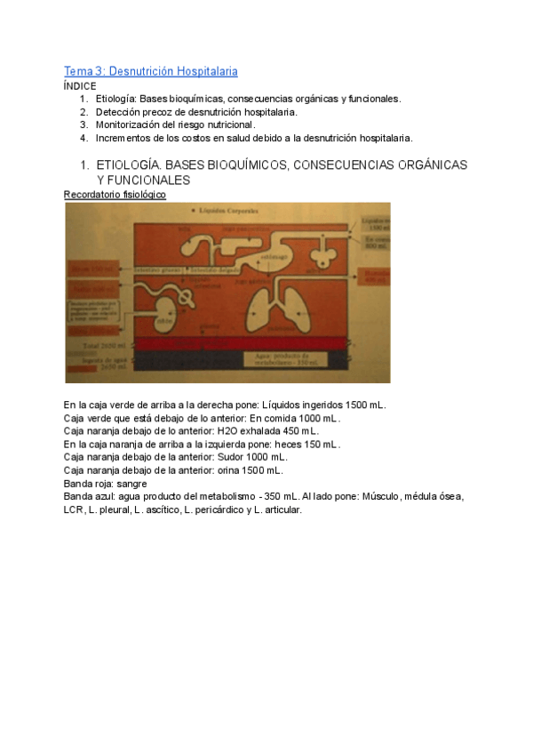 Miniatura del documento Tema-3.pdf