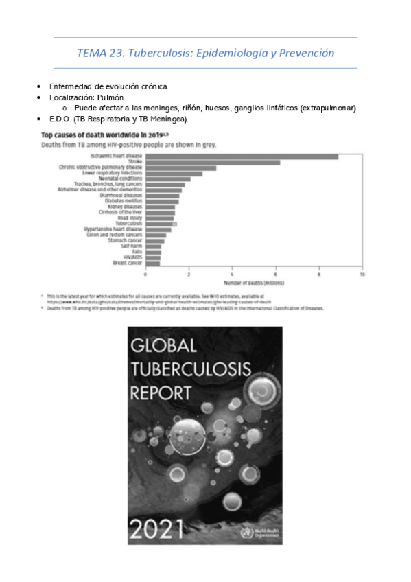 Miniatura del documento TEMA-23.pdf