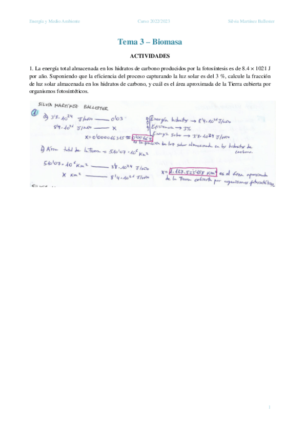 Miniatura del documento Tema-3Martinez-Ballester-Silvia.pdf