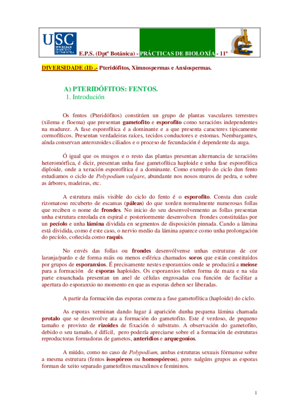 Miniatura del documento practica-de-pteridofitos.pdf