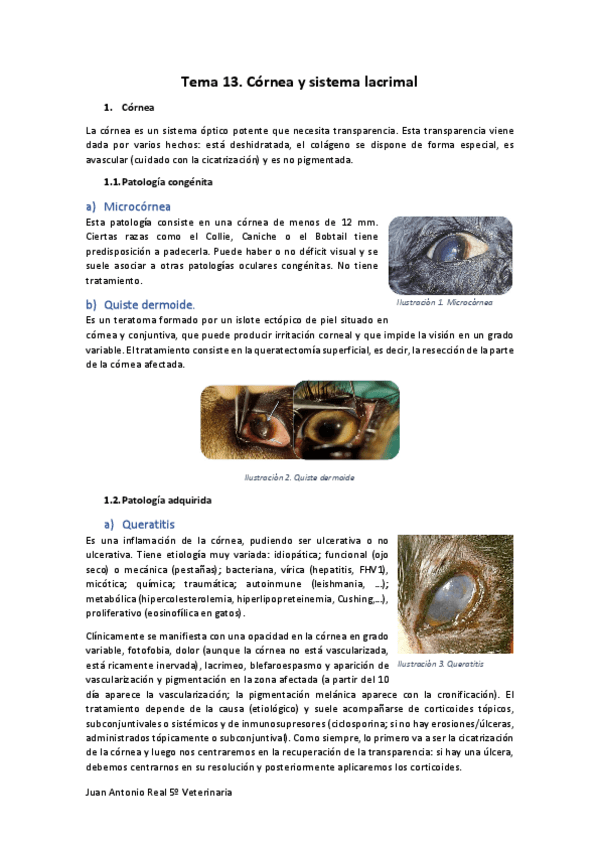 Miniatura del documento Tema-13.pdf