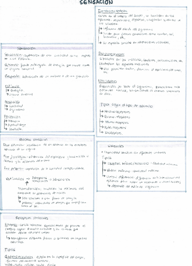 Miniatura del documento Filo1o-sensacion.pdf