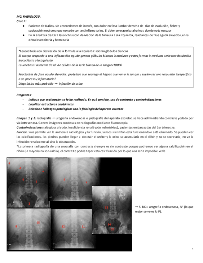 Miniatura del documento MC-Radiologia-cardio-respi-renal.pdf