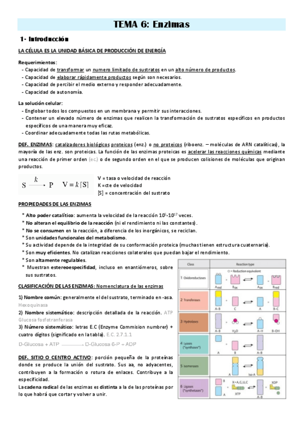 Miniatura del documento Tema-6-Apuntes.pdf