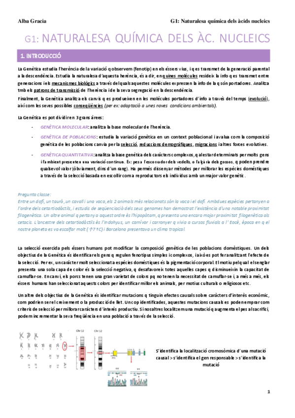 Miniatura del documento Naturalesa-quimica-dels-acids-nucleics-1.pdf