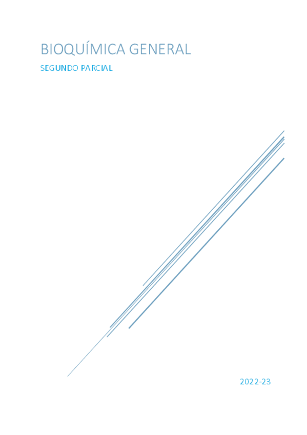 Miniatura del documento BQG-2.pdf