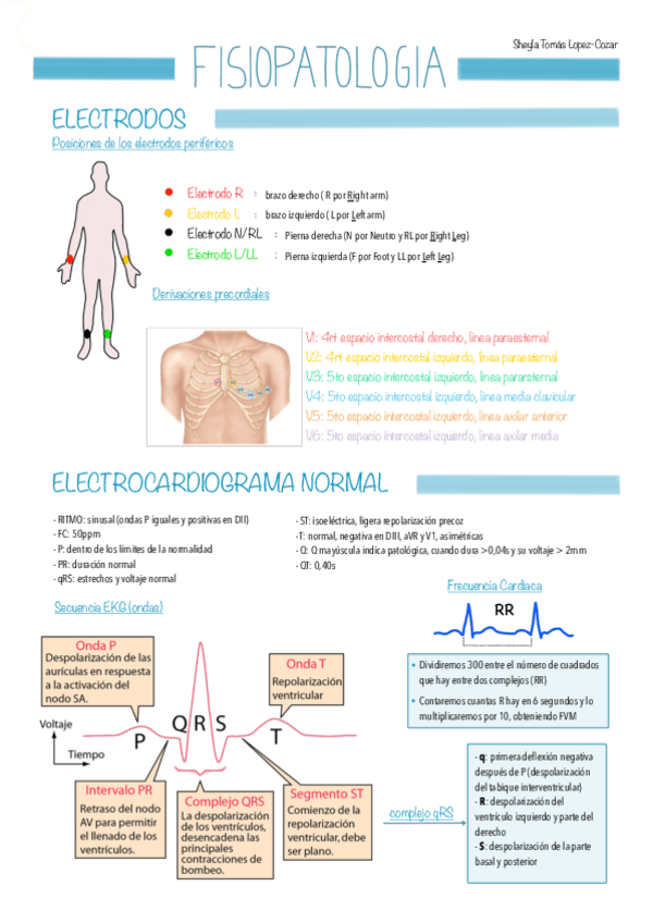 Miniatura del documento ECG-patologico.pdf