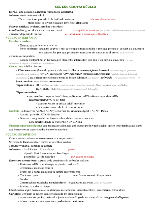 Miniatura del documento TEMA-9.pdf