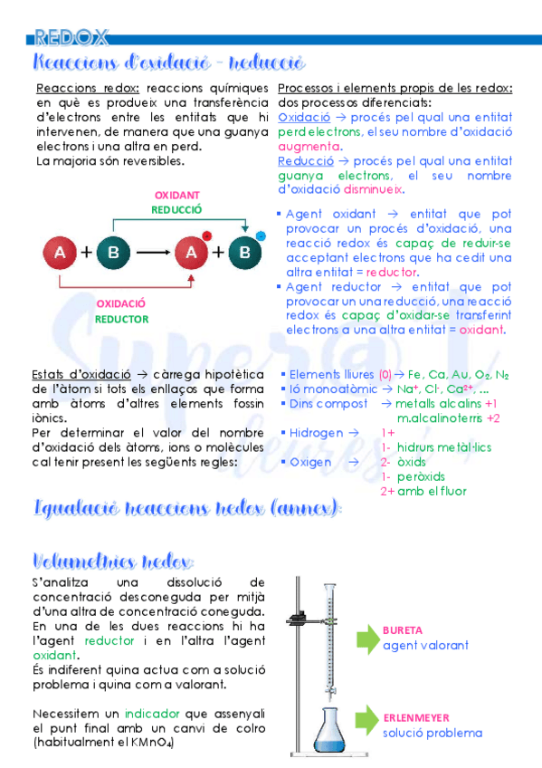 Miniatura del documento 18-REDOX-DOSSIER.pdf