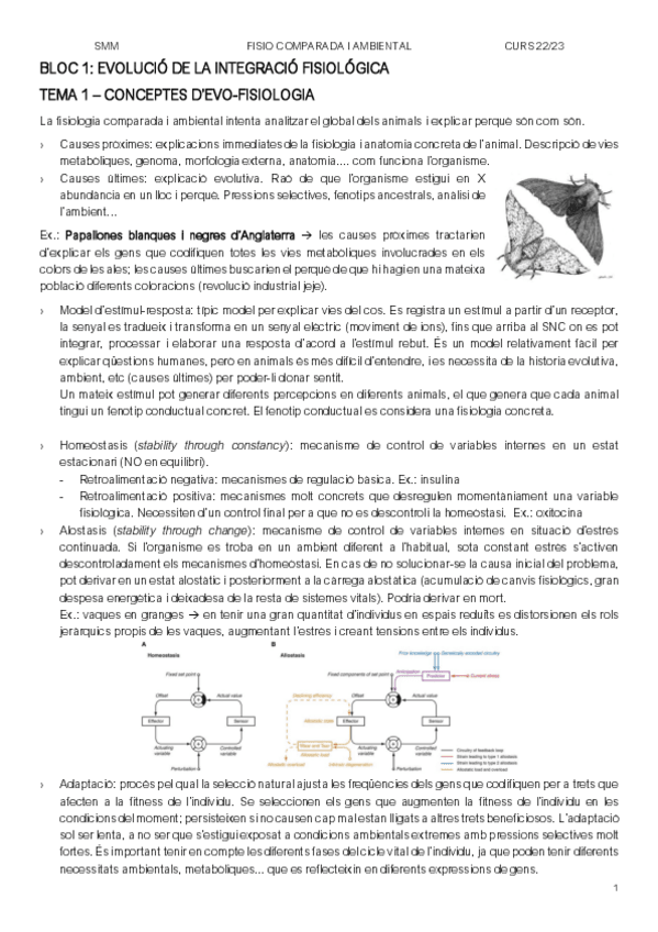Miniatura del documento PARCIAL-FACA-acabat.pdf