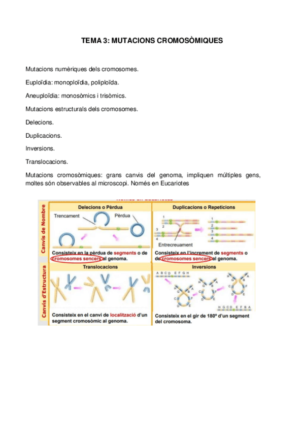 Miniatura del documento TEMA-3.pdf