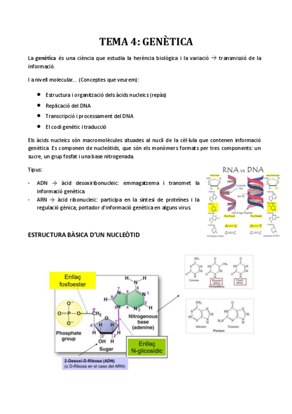Miniatura del documento TEMA-4.pdf