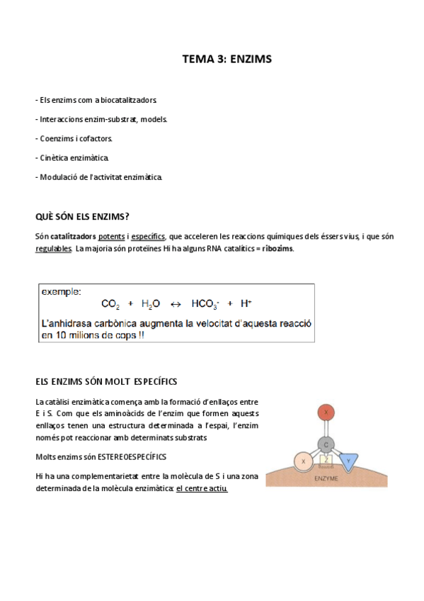 Miniatura del documento TEMA-3-ENZIMS.pdf