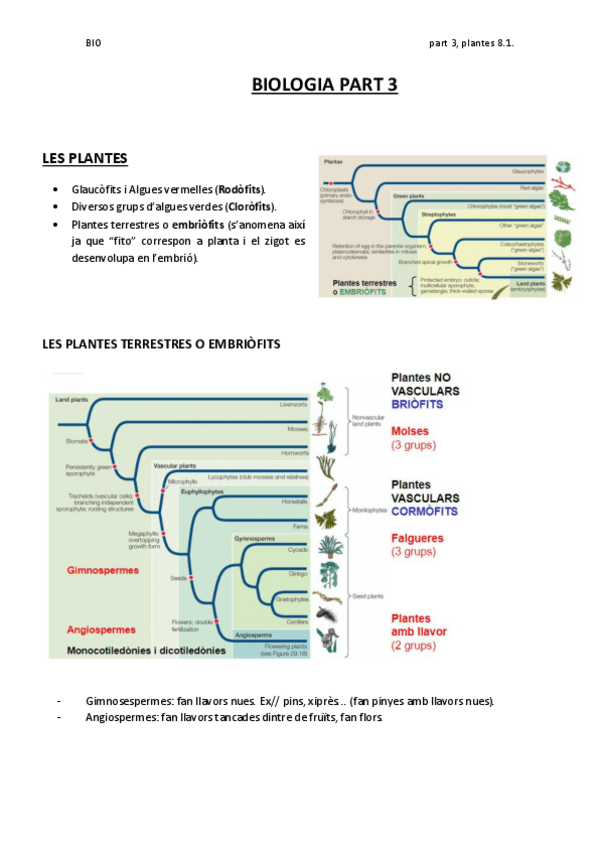 Miniatura del documento BIOLOGIA-PART-3.pdf