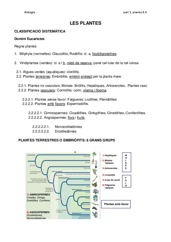 Miniatura del documento LES-PLANTES-8.pdf
