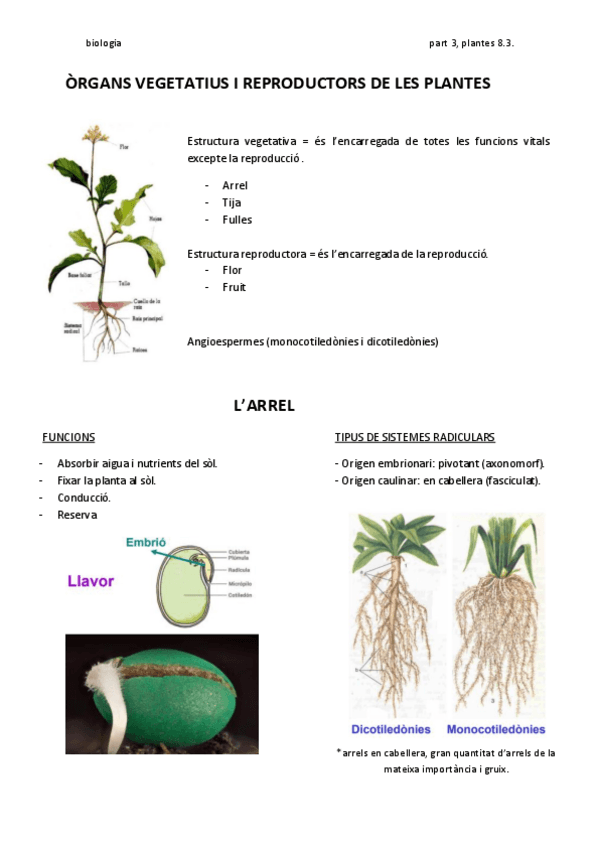 Miniatura del documento PLANTES-8.pdf