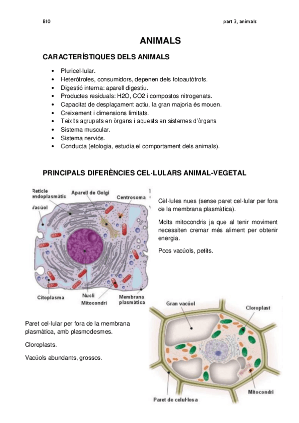 Miniatura del documento ANIMALS.pdf