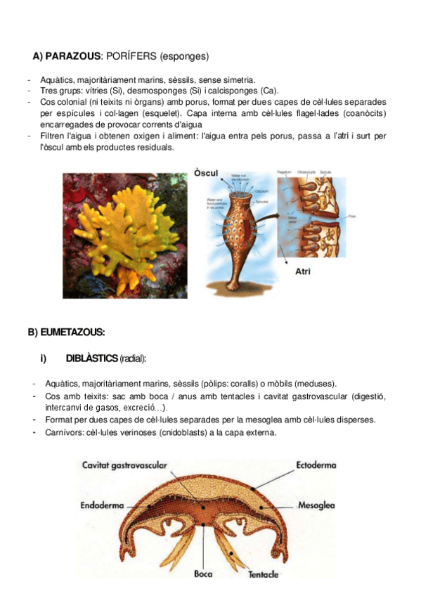 Miniatura del documento animals-power-3.pdf
