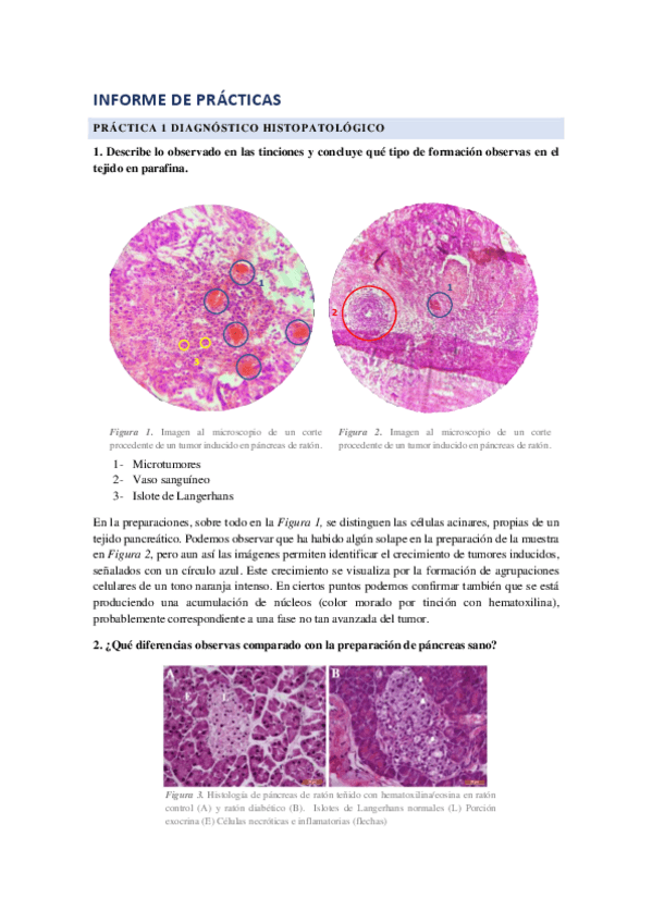 Miniatura del documento practicas-patologia.pdf