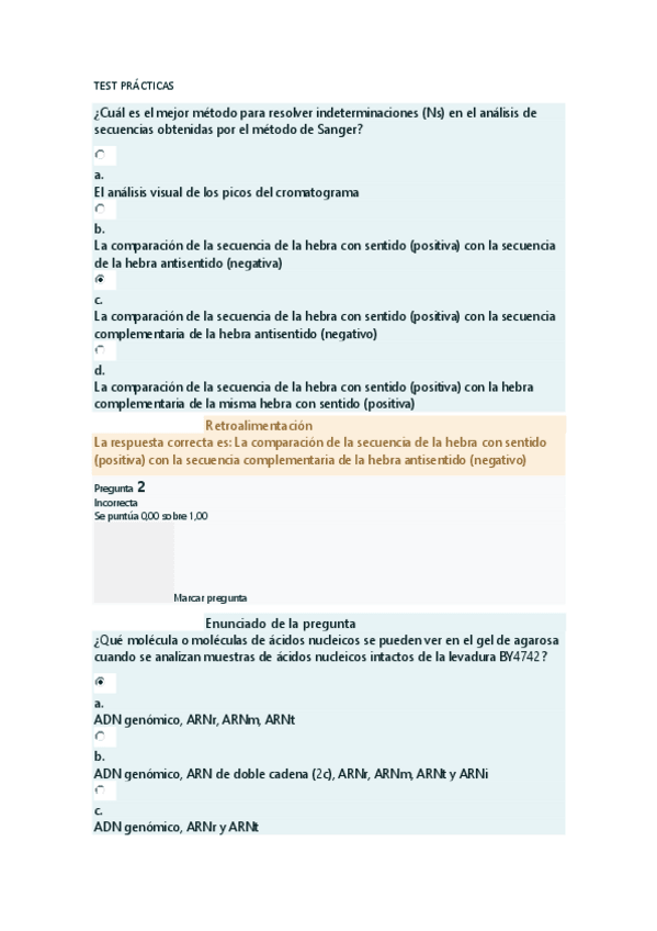 Miniatura del documento TEST-PRACTICAS-IGYG.pdf