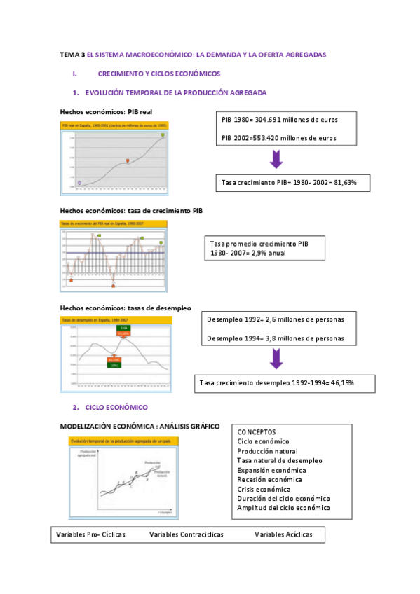 Miniatura del documento MACRO-TEMA-3.pdf