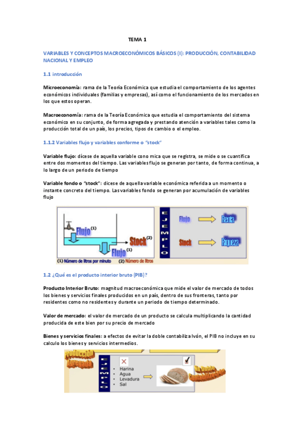 Miniatura del documento MACRO-TEMA-1.pdf