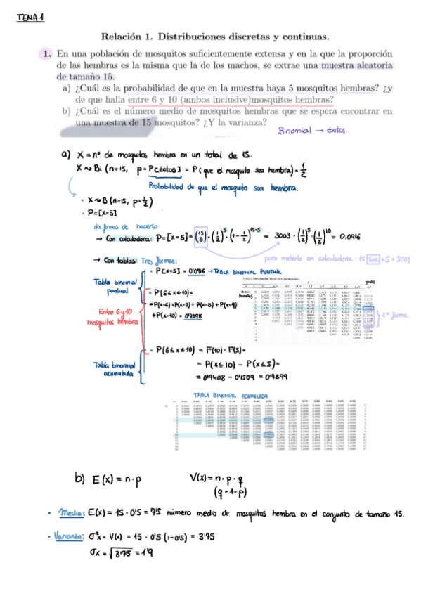 Miniatura del documento Relacion-T1.pdf