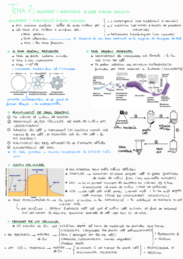 Miniatura del documento Tema-7BMol.pdf