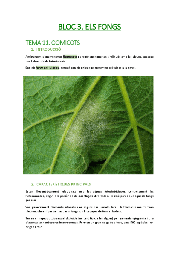 Miniatura del documento RESUM BLOC3 BOTANICA.pdf