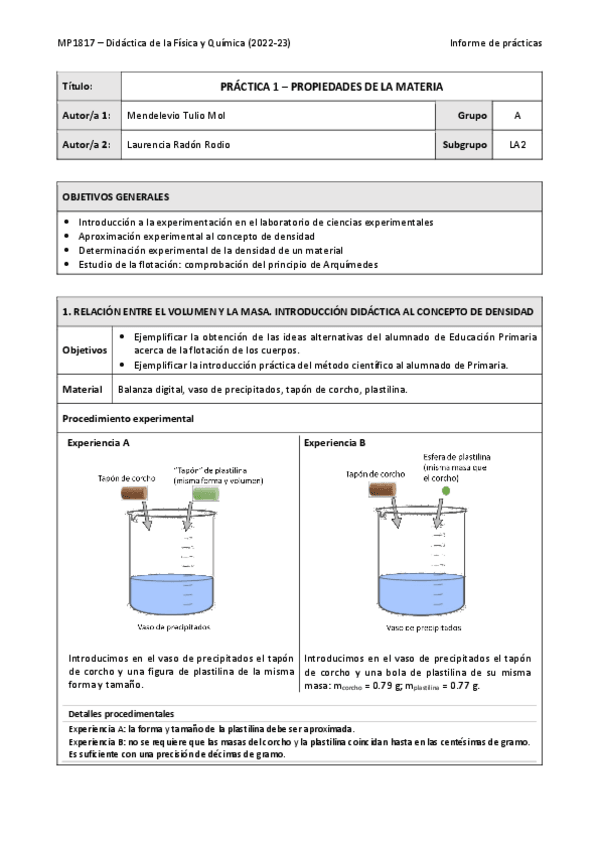 Miniatura del documento Informe-P1.pdf