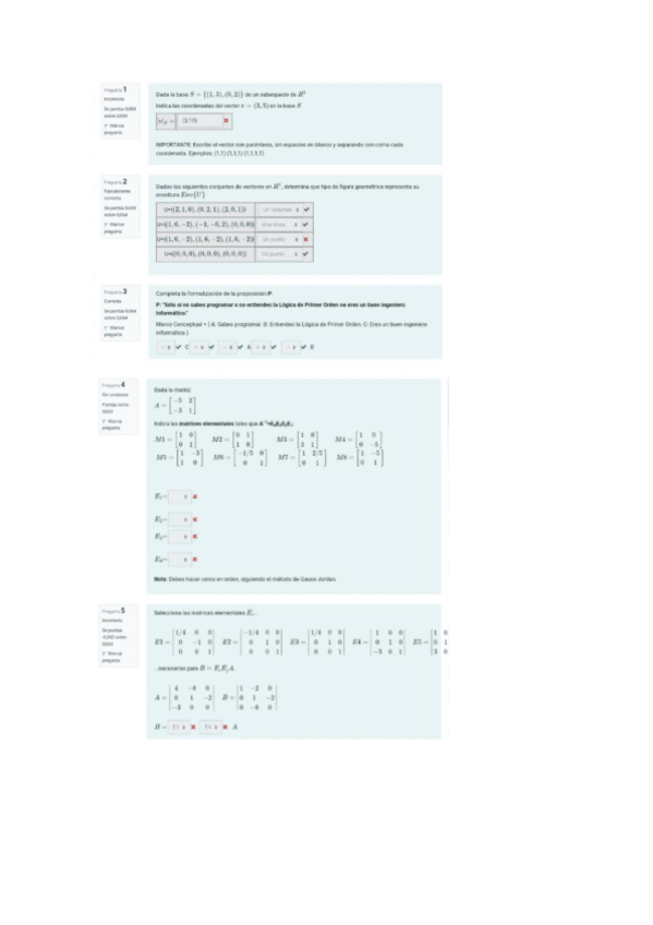 Miniatura del documento cuestionarioo4.pdf