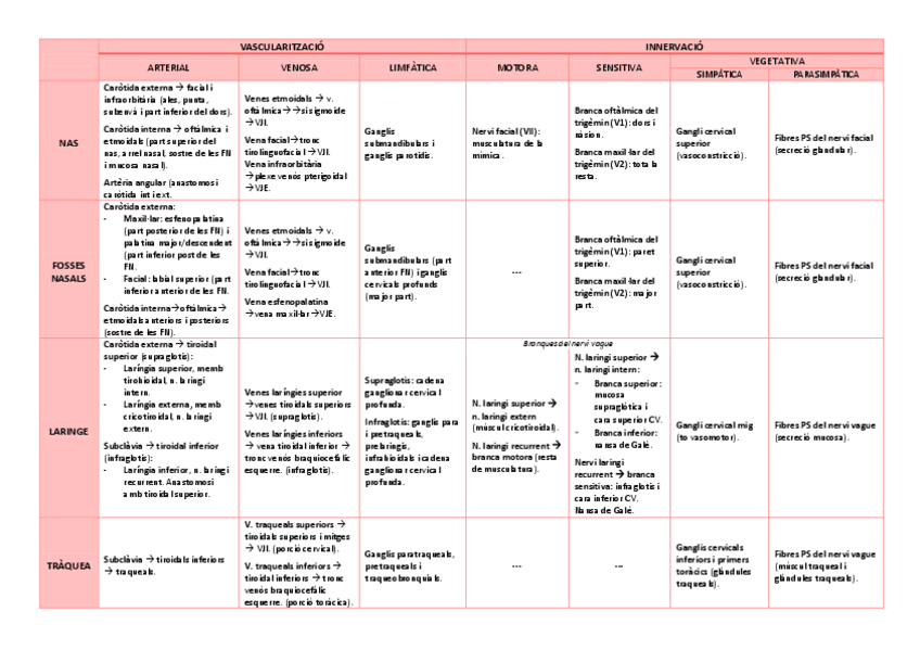 Miniatura del documento Vascularitzacio-respi.pdf