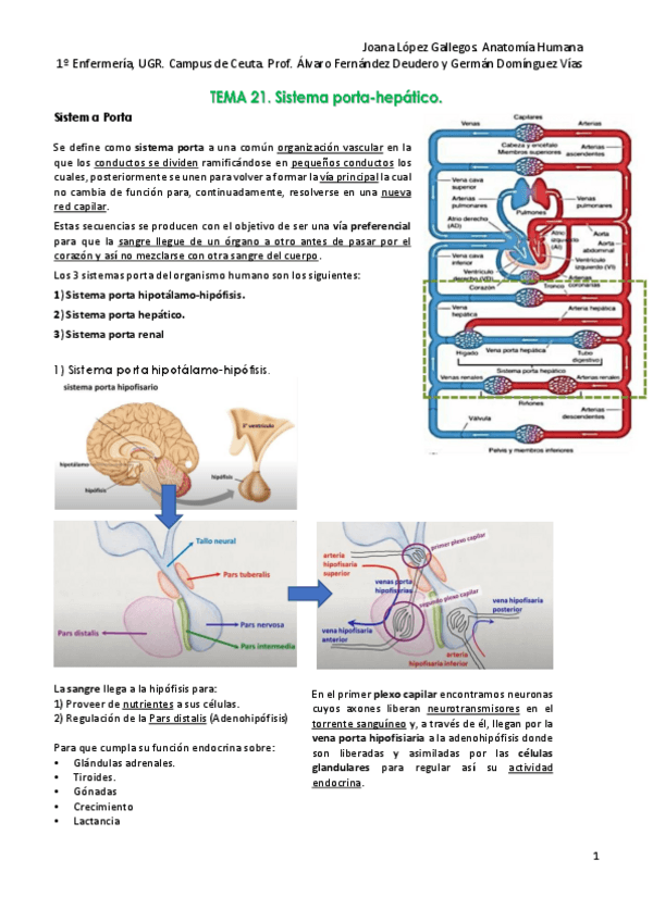 Miniatura del documento Tema-21.pdf