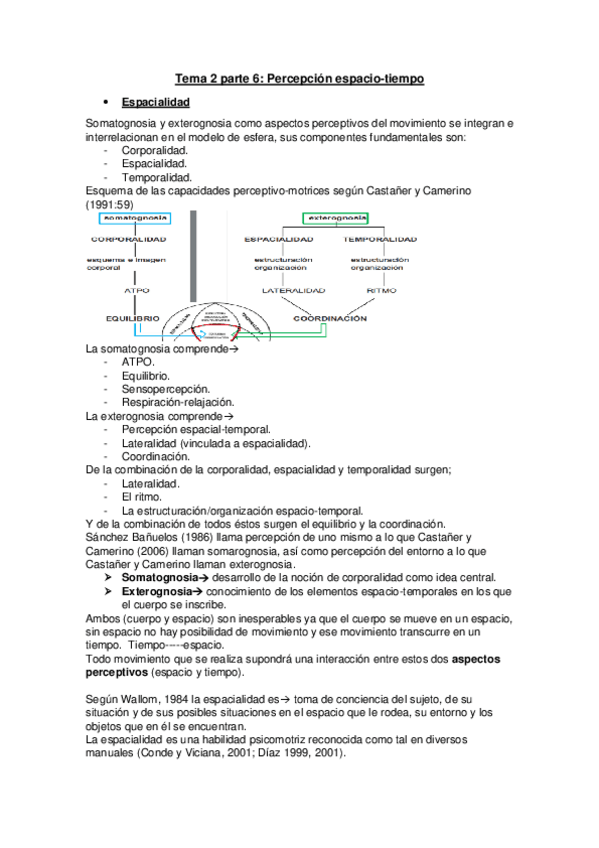 Miniatura del documento Tema-2-parte-6-Fundamentos-de-las-Habilidades-Motrices.pdf