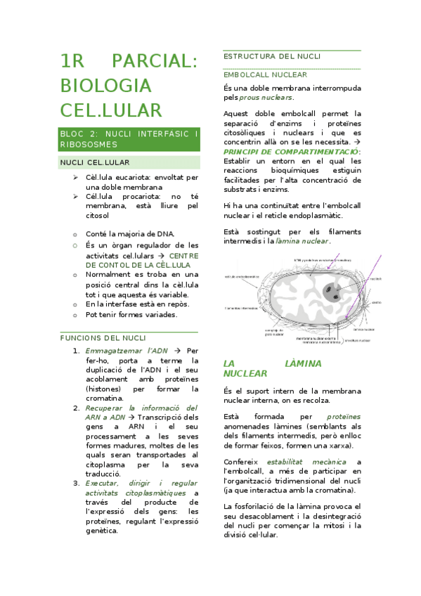 Miniatura del documento PARCIAL-1-BIO.docx